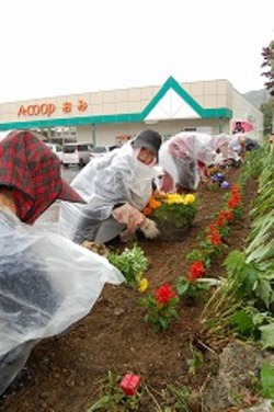 「地域活性化へ、花壇に苗植え」の画像