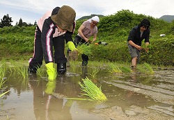 「棚田オーナーら、田植え楽しむ」の画像