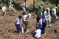 「自然を大切に、苗木500本植樹」の画像