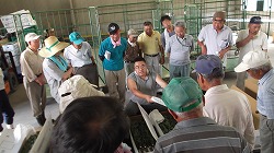 「盆向け出荷へ、花の査定会」の画像
