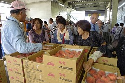 「桃の食べ放題好評、味見まとめ買い」の画像
