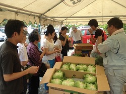 「神奈川の直売所、高原野菜フェア」の画像