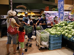 「地元スーパーでレタスを販売」の画像