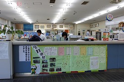 「東京の小学生が農業体験報告書」の画像