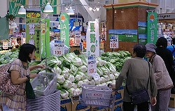 「長野八ヶ岳農産物　和歌山で販売」の画像