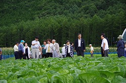 「愛知の生産者、野菜栽培視察」の画像