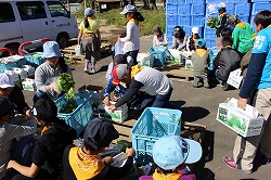 「東京の小学生、農作業体験」の画像
