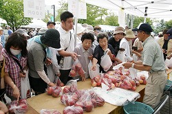 「地場産リンゴ試食販売、農業祭にぎわう」の画像