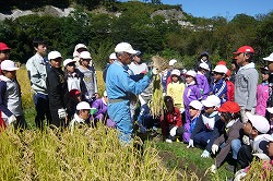 「JA・農家が指導 児童ら稲刈り−JA長野八ヶ岳が食育支援の小海小」の画像