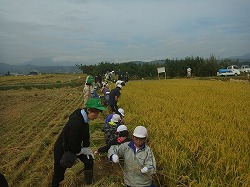 「イナゴやトンボ、触れ合いも」の画像