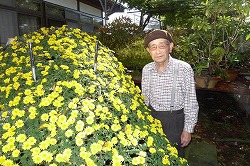 「十字路」の画像