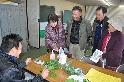 「寒締めホウレンソウ出番、栽培面積2.5倍に」の画像