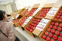 「「ふじ」やワイン求め長い列、恒例特産品まつり」の画像
