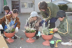 「冬の花を使い、寄せ植え講習」の画像