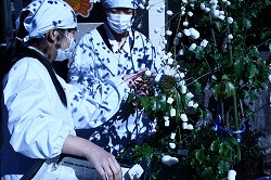 「繭玉と米花飾り、住民らが餅つき」の画像