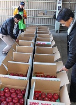 「サンふじ品評会、今井さんに栄冠」の画像