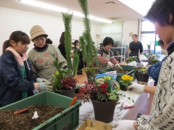 「正月を彩る、寄せ植え学ぶ」の画像