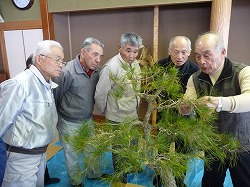 「松を題材に盆栽講習会」の画像