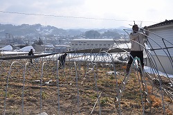 「JAが雪害復旧を支援−JAみなみ信州」の画像