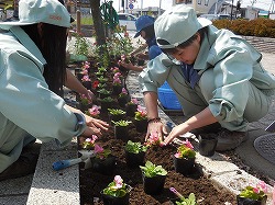 「JRの駅を“花いっぱい”に」の画像