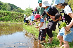 「親子食農講座始まる」の画像