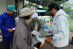「ひょう害で技術対策、リンゴ生育に応じ摘果を」の画像