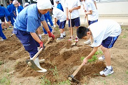 「中学校で農業指導」の画像