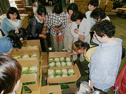 「集荷施設など研修で視察」の画像