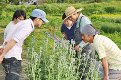 「花の品質向上へ、部員の圃場視察」の画像