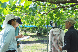 「ブドウ圃場巡回」の画像