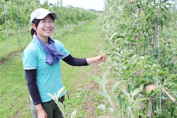 「農の魅力 伝えたい−リンゴ発泡酒 普及へ（ポムリエ）、月1 講義や料理でPR（野菜ソムリエ）。若い女性ファン拡大」の画像