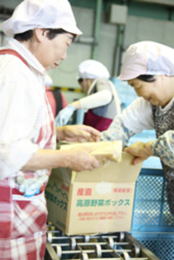 「高原野菜ボックス発送、レシピ添えて大阪へ」の画像