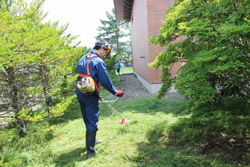 「役員や管理職も参加したごみ拾い」の画像