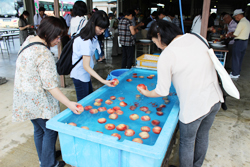 「桃食べ放題スタート。取れたてどうぞ」の画像