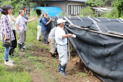 「薬用ニンジンの圃場巡回し研修」の画像
