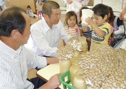 「きのこ収穫と料理、園児が楽しむ」の画像