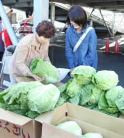 「御嶽はくさい、きょうから。協同して直売し被災農家支援」の画像
