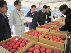 「サンふじ品評会、唐澤さん最優秀」の画像