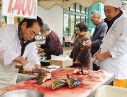 「風物詩の「活鯉」人気」の画像