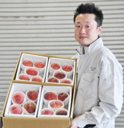 「ハウス桃 出荷開始」の画像