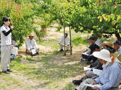 「細菌性病害防除対策学ぶ」の画像