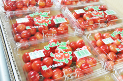 「露地サクランボ、出荷スタート」の画像