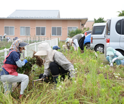 「介護施設彩る、草取りや花植え」の画像