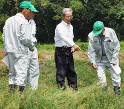 「畦畔雑草 芝にお任せ」の画像