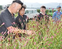 「生産者同士が花の情報共有」の画像
