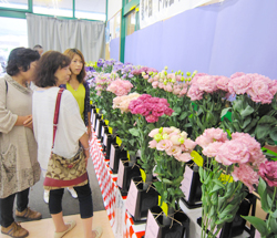 「地元特産の花一堂に」の画像