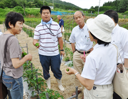 「「ぼたんこしょう」で長野県中野市農家ら 適正栽培学ぶ」の画像