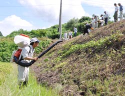 「芝で畦畔覆い、除草省力化へ」の画像