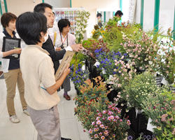 「野口さんら最優秀に」の画像
