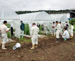 「雨よけ栽培に手応え」の画像